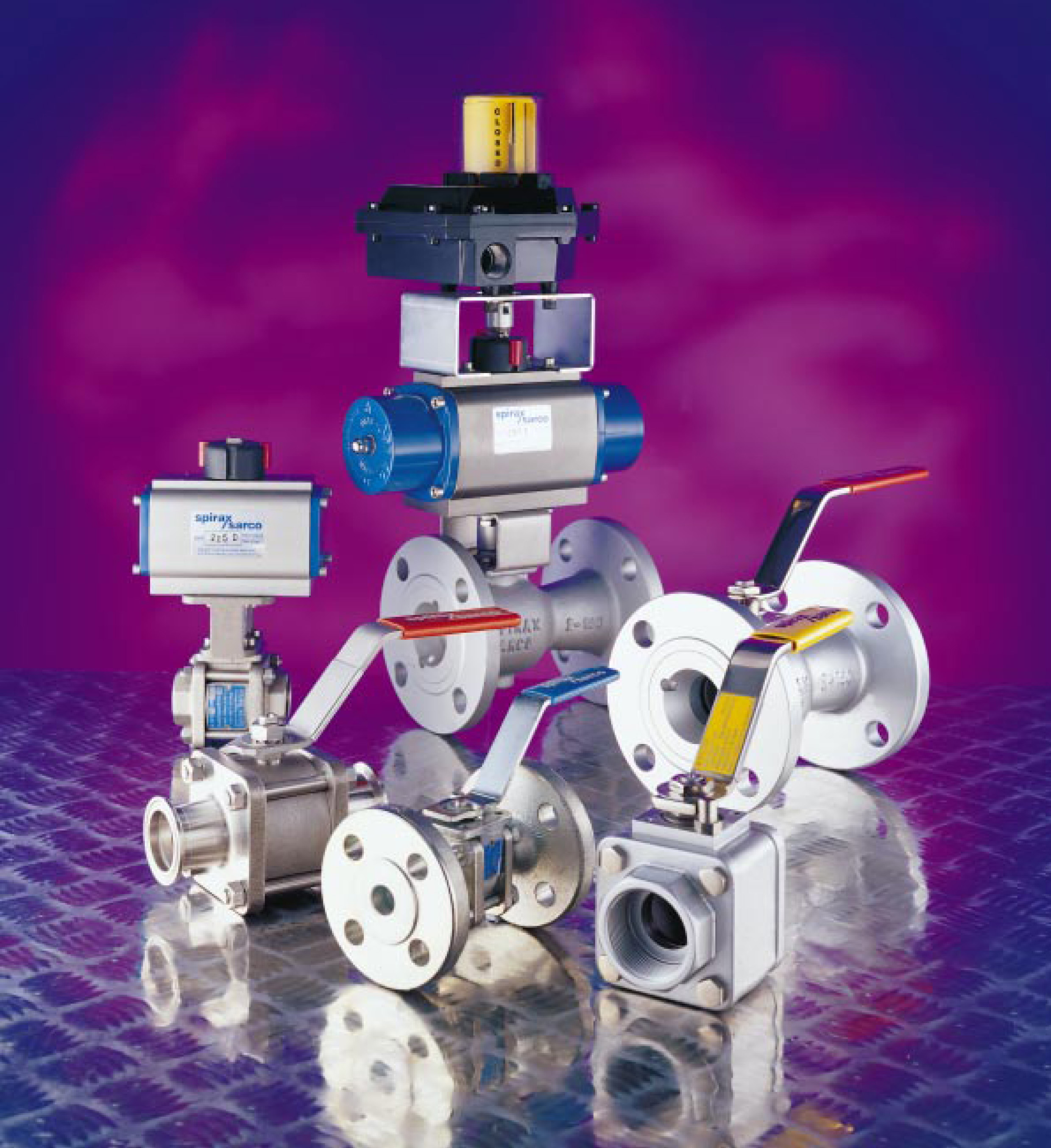 SPIRAX SARCO Valves Systems S R L Soluciones Globales Para El